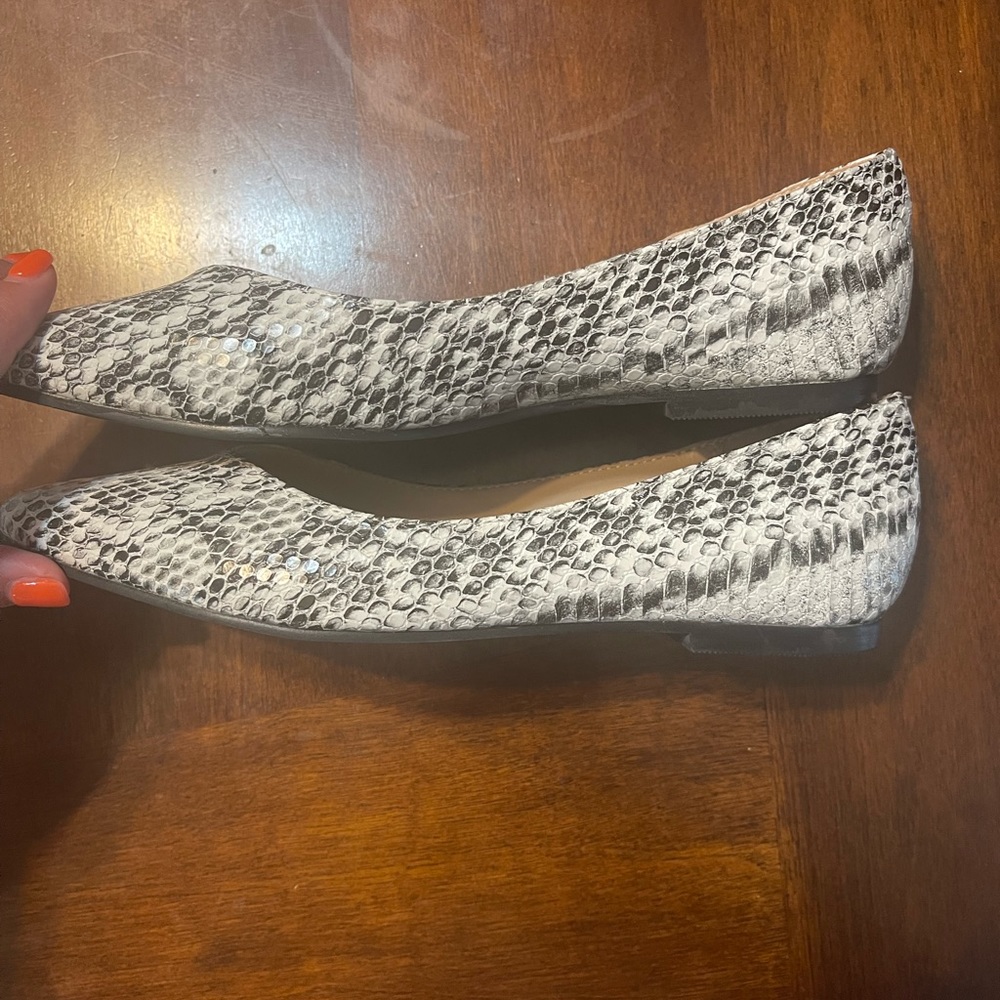 Amanda pointed toe flat - Picture 4 of 5